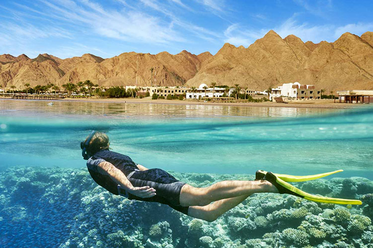diving in egypt
